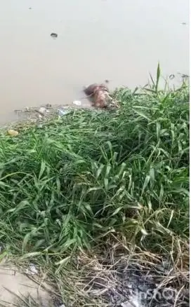 Lagos fire service recovers body of man who fell inside canal on New Year’s Day-tsbnews.com3