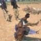Operation HADIN KAI troops during counter-terrorism operations in Yobe