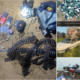 Operation FANSAN YAMMA troops during North-West security operation